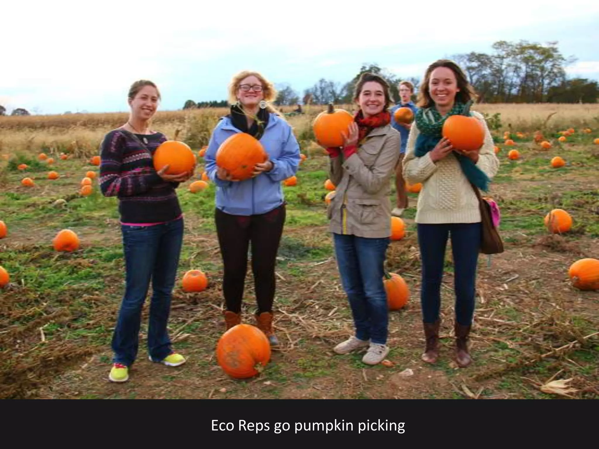 Eco Reps go pumpkin picking
 