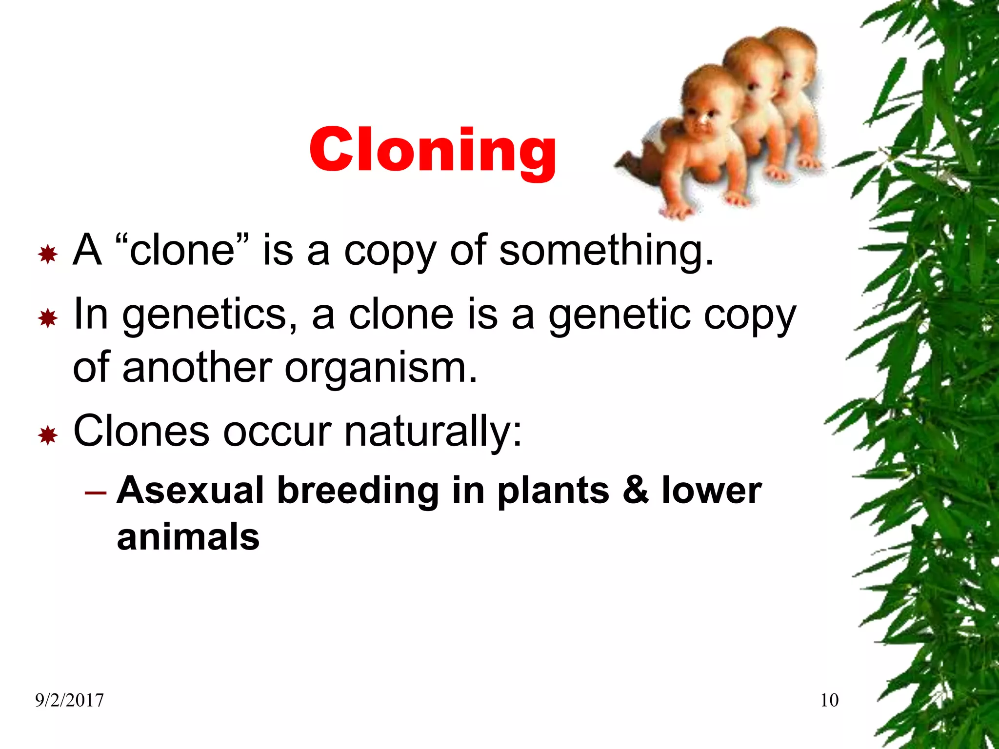 Cloning
 A “clone” is a copy of something.
 In genetics, a clone is a genetic copy
of another organism.
 Clones occur naturally:
– Asexual breeding in plants & lower
animals
9/2/2017 10
 