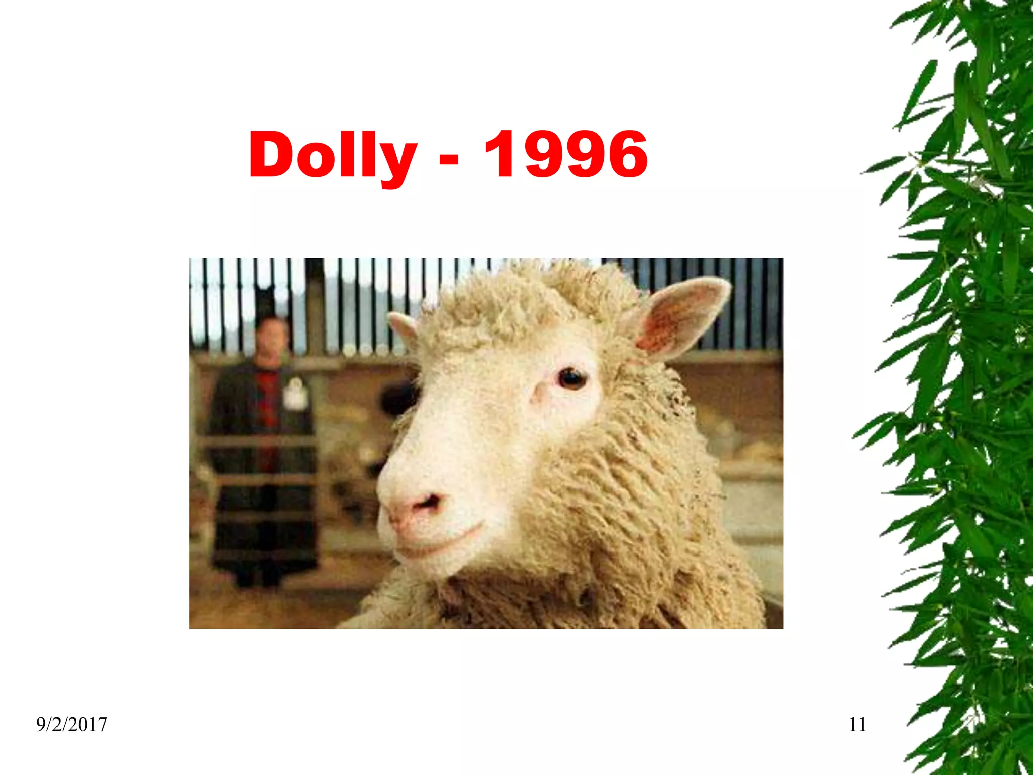 Dolly - 1996
9/2/2017 11
 