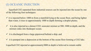C sequestration | PPTX | Science