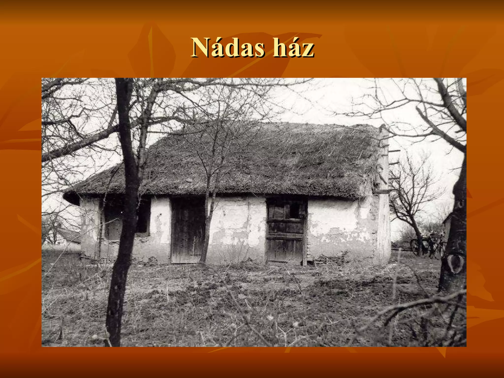Nádas ház 