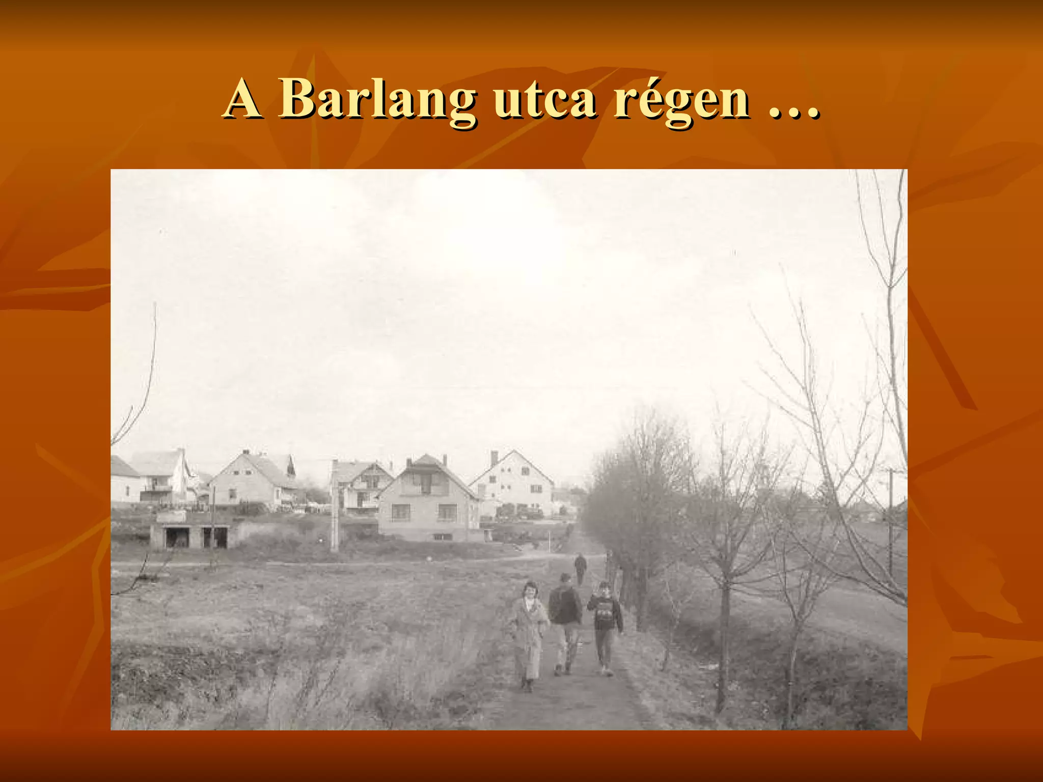 A Barlang utca régen … 