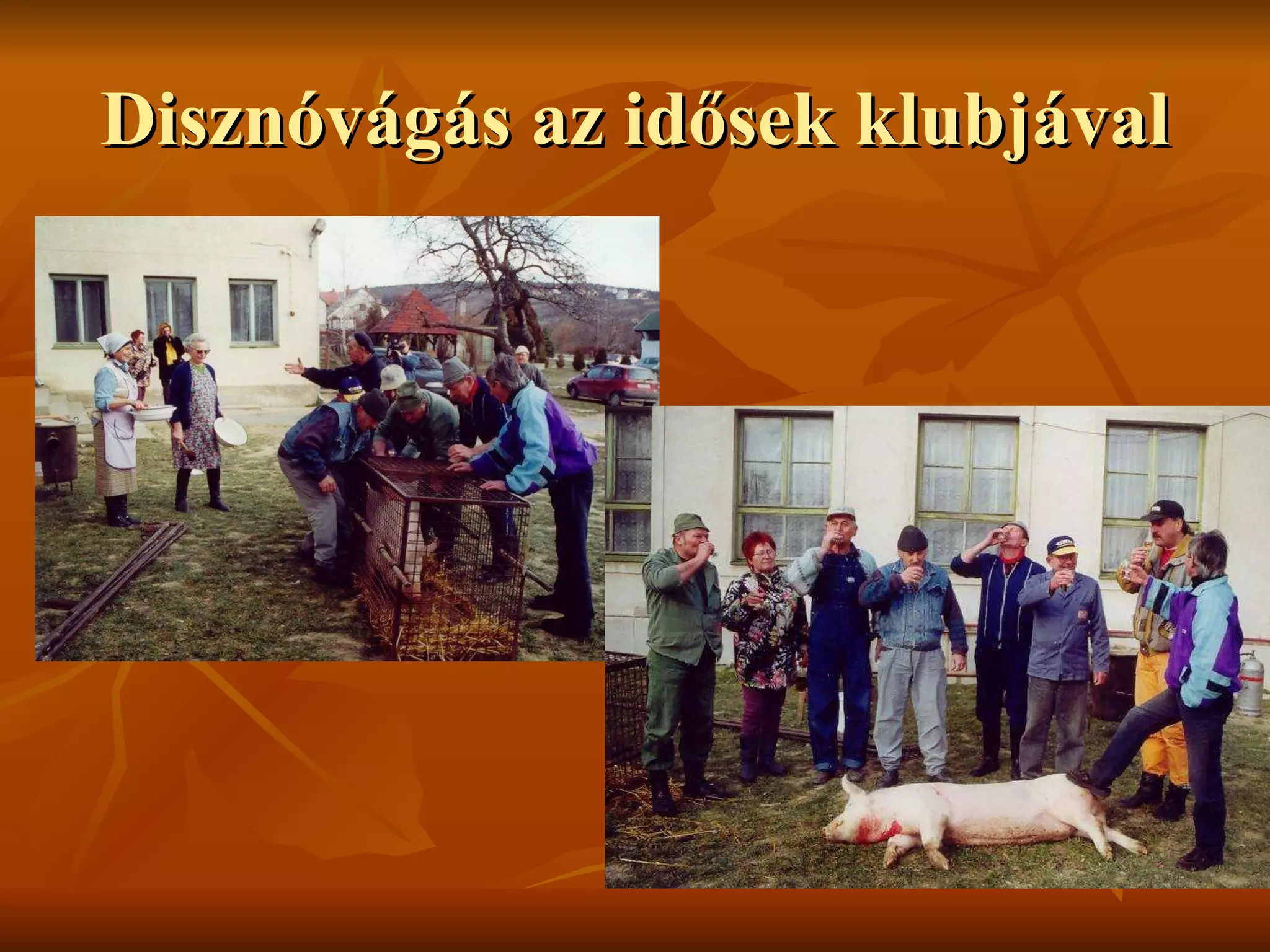 Disznóvágás az idősek klubjával 