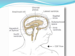  BY CISTERNAL PUNCTURE
In this a needle between the occipital bone
and atlas so that it enters the cisterna magna.
 