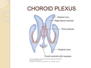 CSF physiology and Mechanics of Hydrocephalus | PPTX