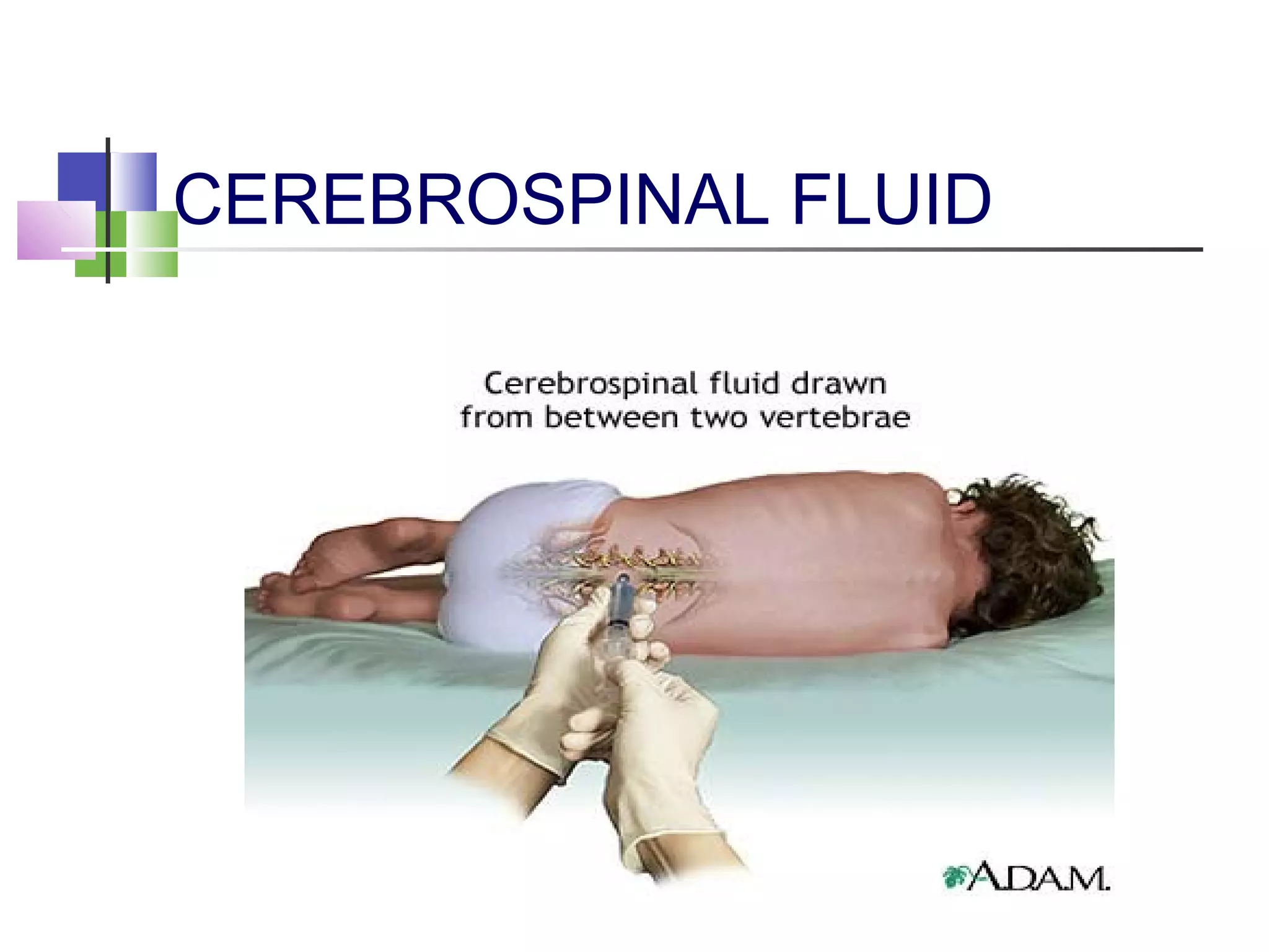 Biochemistry of Cerebrospinal fluid (CNF) | PPT