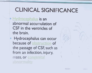CSF.pdf