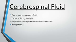 Cerebrospinal Fluid
• Clear,colorless,transparent fluid
• Circulates through cavity of
-Brain,Subarachnoid space,Central canal of spinal cord
• Belongs to ECF
 