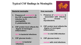 Cerebrospinal Fluid (CSF) fully explained.pptx