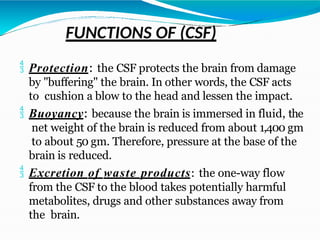Cerebrospinal fluid production and circulation.pptx