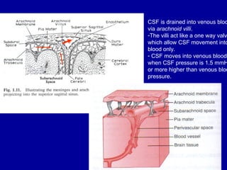 CSF Drainage
CSF is drained into venous bloo
via arachnoid villi.
-The villi act like a one way valv
which allow CSF movement into
blood only.
- CSF moves into venous blood
when CSF pressure is 1.5 mmH
or more higher than venous bloo
pressure.
 