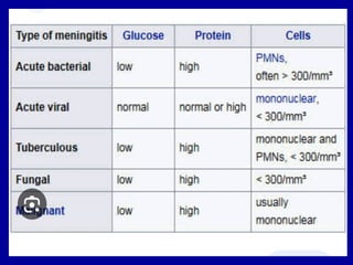 12 June 2007 CNS1.ppt 35
 
