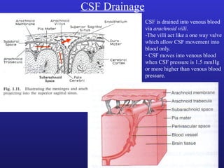 CSF Drainage
CSF is drained into venous blood
via arachnoid villi.
-The villi act like a one way valve
which allow CSF movement into
blood only.
- CSF moves into venous blood
when CSF pressure is 1.5 mmHg
or more higher than venous blood
pressure.
 
