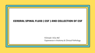 Anatomical structures of cerebral spinal fluid | PDF