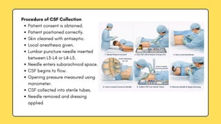 Anatomical structures of cerebral spinal fluid | PDF