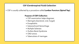 Anatomical structures of cerebral spinal fluid | PDF