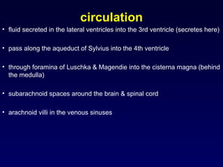 Comprehensive Overview of Cerebrospinal Fluid: Physiology, Function ...