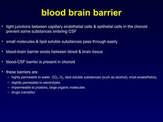 Comprehensive Overview of Cerebrospinal Fluid: Physiology, Function ...