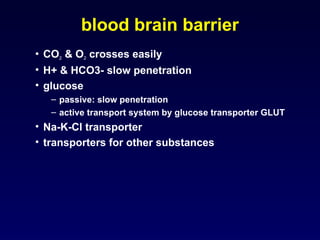 Comprehensive Overview of Cerebrospinal Fluid: Physiology, Function ...