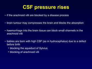 Comprehensive Overview of Cerebrospinal Fluid: Physiology, Function ...