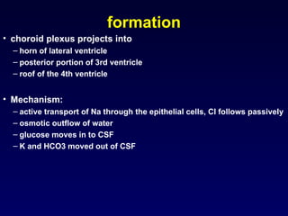 Comprehensive Overview of Cerebrospinal Fluid: Physiology, Function ...