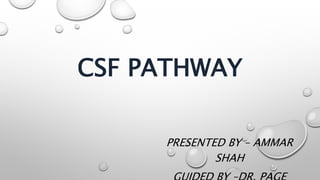 CSF PATHWAY
PRESENTED BY – AMMAR
SHAH
 