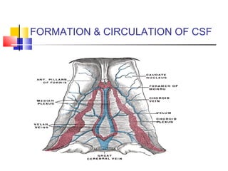 FORMATION & CIRCULATION OF CSF
 