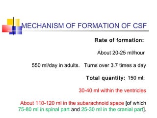 MECHANISM OF FORMATION OF CSF
Rate of formation:
About 20-25 ml/hour
550 ml/day in adults. Turns over 3.7 times a day
Total quantity: 150 ml:
30-40 ml within the ventricles
About 110-120 ml in the subarachnoid space [of which
75-80 ml in spinal part and 25-30 ml in the cranial part].
 