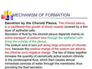 MECHANISM OF FORMATION
Secretion by the Choroid Plexus. The choroid plexus,
is a cauliflower-like growth of blood vessels covered by a thin
layer of epithelial cells.
Secretion of fluid by the choroid plexus depends mainly on
active transport of sodium ions through the epithelial cells
lining the outside of the plexus.
The sodium ions in turn pull along large amounts of chloride
ions because the positive charge of the sodium ion attracts
the chloride ion's negative charge. The two of these together
increase the quantity of osmotically active sodium chloride
in the cerebrospinal fluid, which then causes almost
immediate osmosis of water through the membrane, thus
providing the fluid secretion.
 