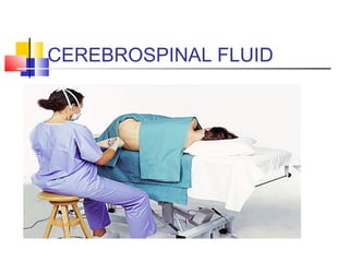 CEREBROSPINAL FLUID
 