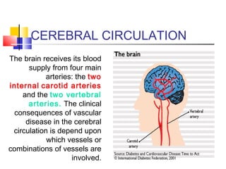 CEREBRAL CIRCULATION
The brain receives its blood
supply from four main
arteries: the two
internal carotid arteries
and the two vertebral
arteries. The clinical
consequences of vascular
disease in the cerebral
circulation is depend upon
which vessels or
combinations of vessels are
involved.
 