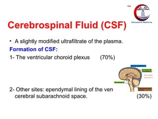 Comprehensive Clinical Pathology Analysis of Cerebrospinal Fluid (CSF ...