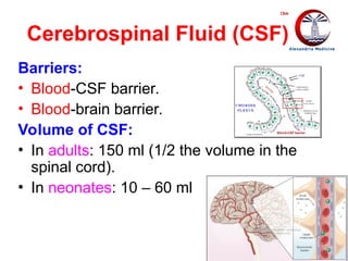 Comprehensive Clinical Pathology Analysis of Cerebrospinal Fluid (CSF ...