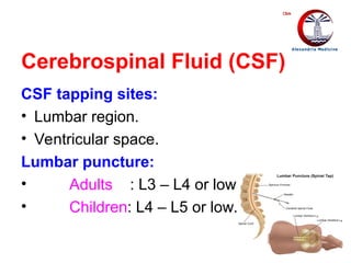 Comprehensive Clinical Pathology Analysis of Cerebrospinal Fluid (CSF ...