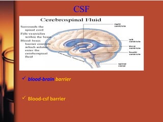  blood-brain barrier
 Blood-csf barrier
CSF
 