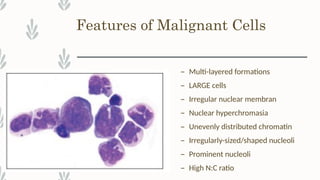 Comprehensive Overview of Cerebrospinal Fluid (CSF) Analysis and ...