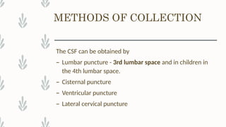 Position For Csf Collection Comprehensive Overview of Cerebrospinal Fluid (CSF) Analysis and ...