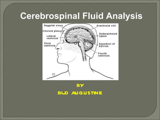 Cerebrospinal Fluid Analysis BY BIJO AUGUSTINE 