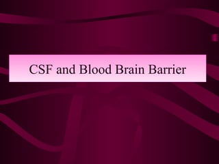 CSF and Blood Brain BarrierCSF and Blood Brain Barrier
 