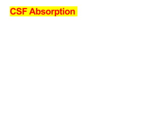 CSF Absorption
 