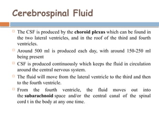 CENTRAL NERVOUS SYSTEM AND ITS COMPONENTSpptx | PPTX