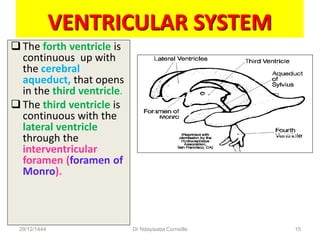 VENTRICULAR SYSTEM
 The forth ventricle is
continuous up with
the cerebral
aqueduct, that opens
in the third ventricle.
 The third ventricle is
continuous with the
lateral ventricle
through the
interventricular
foramen (foramen of
Monro).
29/12/1444 Dr Ndayisaba Corneille 15
 