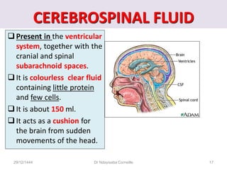 CEREBROSPINAL FLUID
 Present in the ventricular
system, together with the
cranial and spinal
subarachnoid spaces.
 It is colourless clear fluid
containing little protein
and few cells.
 It is about 150 ml.
 It acts as a cushion for
the brain from sudden
movements of the head.
29/12/1444 Dr Ndayisaba Corneille 17
 