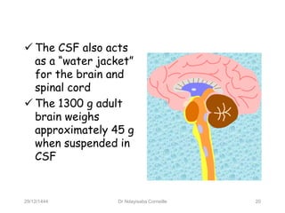  The CSF also acts
as a “water jacket”
for the brain and
spinal cord
 The 1300 g adult
brain weighs
approximately 45 g
when suspended in
CSF
29/12/1444 Dr Ndayisaba Corneille 20
 