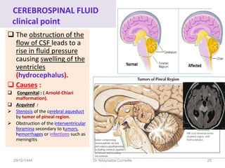 CEREBROSPINAL FLUID
clinical point
 The obstruction of the
flow of CSF leads to a
rise in fluid pressure
causing swelling of the
ventricles
(hydrocephalus).
 Causes :
 Congenital : ( Arnold-Chiari
malformation).
 Acquired :
 Stenosis of the cerebral aqueduct
by tumor of pineal region.
 Obstruction of the interventricular
foramina secondary to tumors,
hemorrhages or infections such as
meningitis
29/12/1444 Dr Ndayisaba Corneille 25
 