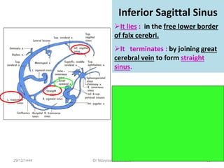 Inferior Sagittal Sinus
29/12/1444 Dr Ndayisaba Corneille 30
It lies : in the free lower border
of falx cerebri.
It terminates : by joining great
cerebral vein to form straight
sinus.
 