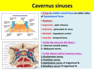 Cavernus sinuses
29/12/1444 Dr Ndayisaba Corneille 34
It lies in middle cranial fossa on either sides
of hypophyseal fossa.
Relations :
Superiorly : optic chiasma.
Inferiorly : sphenoidal air sinus.
Medially : hypophysis cerebri.
Laterally : temporal bone.
Inside the sinus (in the floor) :
1- Internal carotid artery .
2- Abducent nerve.
In the lateral wall of cavernus sinus :
1-Oculomotor nerve.
2-Trochlear nerve.
3-Ophthalmic nerve of trigeminal N.
4-Maxillary nerve of trigeminal N.
 
