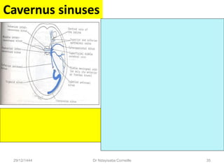 Cavernus sinuses
29/12/1444 Dr Ndayisaba Corneille 35
 