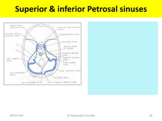 Superior & inferior Petrosal sinuses
29/12/1444 Dr Ndayisaba Corneille 36
 