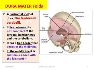 2. A horizontal shelf of
dura, The tentorium
cerebelli,
 It lies between the
posterior part of the
cerebral hemispheres
and the cerebellum.
 It has a free border that
encircles the midbrain.
 In the middle line it is
continous above with
the falx cerebri.
29/12/1444 Dr Ndayisaba Corneille 6
DURA MATER Folds
 